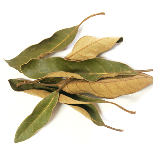 까마귀쪽나무잎 50g (Litsea japonica leaf) 국산