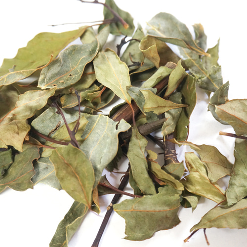 녹나무잎 50g (Cinnamomum Camphora (Camphor) Leaf) 국산/제주