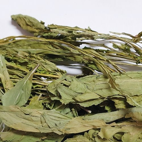 로켓 잎 50g (Eruca Sativa Leaf) 국산-청주
