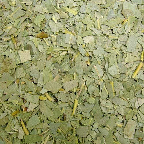 유칼립투스잎 1kg (Eucalyptus Globulus Leaf Cut) 포르투칼산