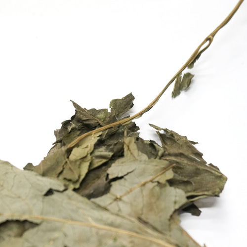 다알리아 잎 50g (Dahlia Variabilis(Dahlia pinnata)) 국산