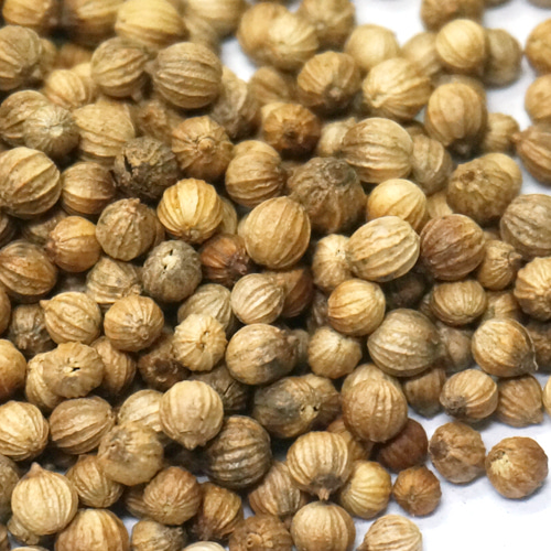 고수 씨 50g (Coriandrum Sativum (Coriander) Seed) 국산-청주