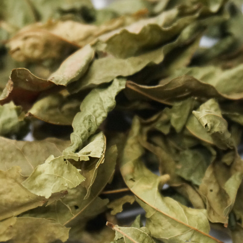 등나무 잎 50g (Wisteria Floribunda Leaf) 국산-청주