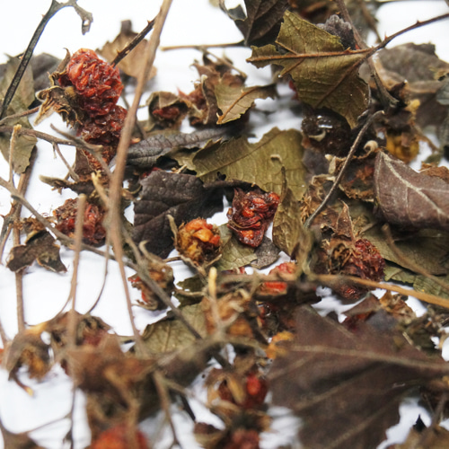 산딸기 전초 50g (Rubus Crataegifolius) 국산-청주
