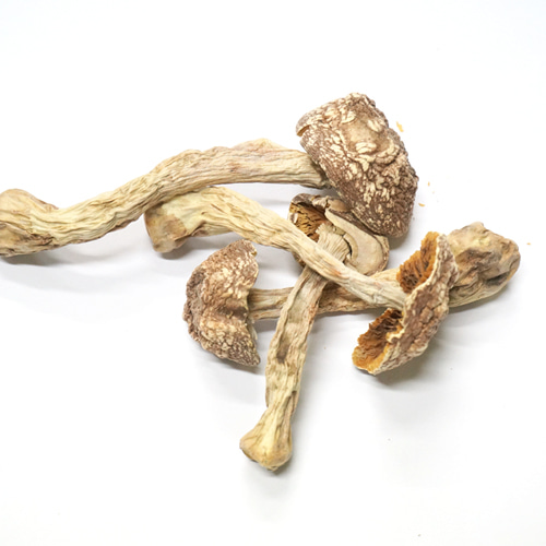 주름버섯 50g (Psalliota Campestris (Mushroom)) 국산