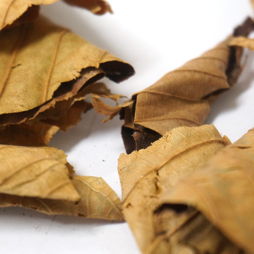 칠엽수(전초) 50g (Aesculus Chinensis) 국산-청주
