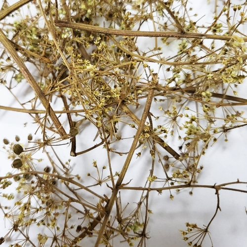 두릅나무 꽃 50g (Aralia Elata Flower) 국산-청주