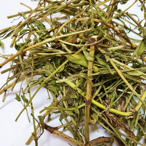히솝(전초) 50g (Hyssopus Officinalis) 국산-청주