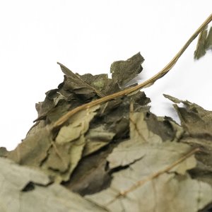 다알리아 잎 50g (Dahlia Variabilis(Dahlia pinnata)) 국산