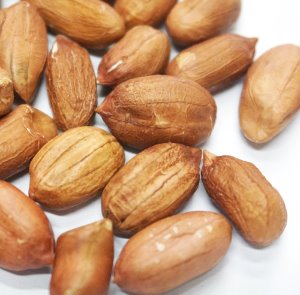 땅콩 1kg (Arachis Hypogaea (Peanut) Fruit) 국산