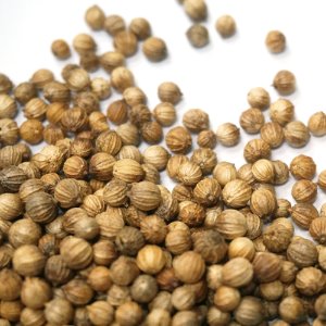 고수 씨 50g (Coriandrum Sativum (Coriander) Seed) 국산-청주