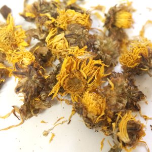 감국꽃 1kg (Chrysanthemum Indicum Flower) 중국산