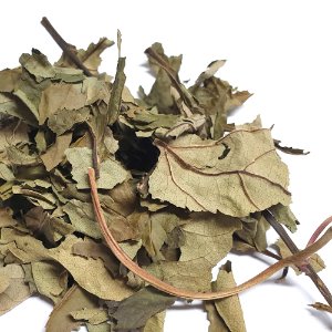 란타나잎 50g (Lantana Camara Leaf) 국산-청주
