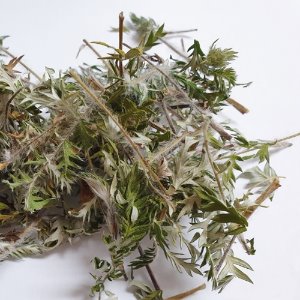 딱지꽃 전초 50g (Potentilla Chinensis) 국산-청주