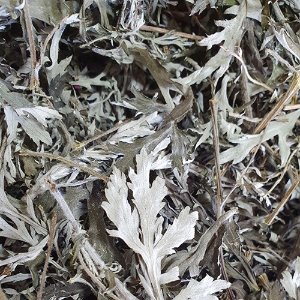 쑥잎/줄기 50g (Artemisia Princeps Leaf/Stem) 국산-청주