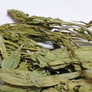 로켓 잎 50g (Eruca Sativa Leaf) 국산-청주