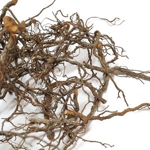 해당화 뿌리 50g (Rosa Rugosa Root) 국산-청주