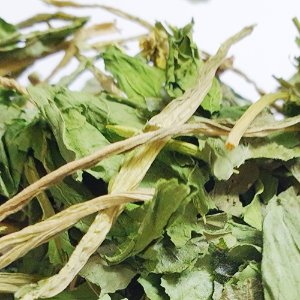 시금치 잎/줄기 50g (Spinacia Oleracea Leaf/Stem) 국산-청주
