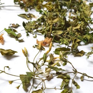 스페인자스민(전초) 50g (Syringa Oblata Flower/Leaf/Stem) 국산-청주