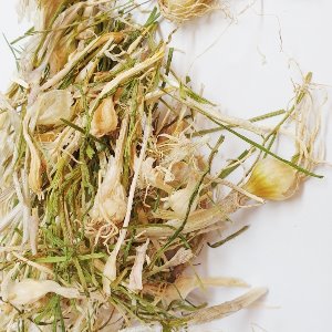 달래 전초 50g (Allium Monanthum) 국산-제주