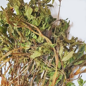 눈개승마싹 50g (Aruncus Dioicus Sprout) 국산-청주
