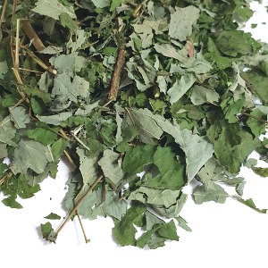 두릅나무 잎 1kg (Aralia Elata Leaf) 국산-청주