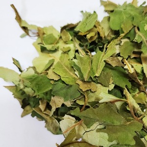 고욤나무 잎 50g (Diospyros Lotus Leaf) 국산-청주