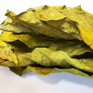 노니 잎 50g (Morinda Citrifolia Leaf) 국산-청주