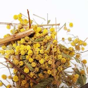 미모사아카시아꽃 50g (Acacia Dealbata Flower) 국산-청주