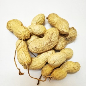 땅콩 열매 50g (Arachis Hypogaea (Peanut) Fruit) 국산-청주