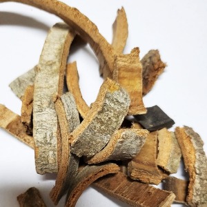 후박나무 껍질 50g (Machilus Thunbergii Bark) 국산-제주