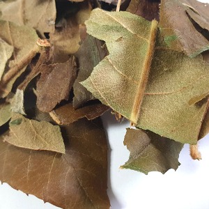 비파나무 잎 50g (Eriobotrya Japonica Leaf) 국산-거제