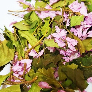 라네시아나벚나무꽃 50g (Prunus Lannesiana Flower) 국산-청주