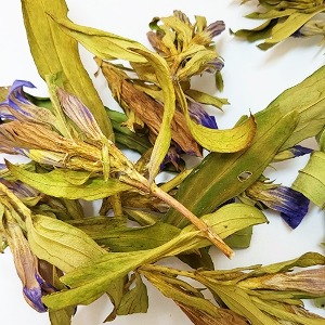 자주쓴풀(전초) 50g (Swertia Pseudochinensis) 국산-청주