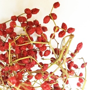가막살열매 50g (Viburnum Dilatatum Fruit) 국산-청주