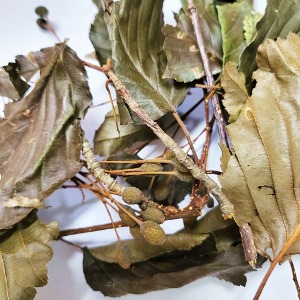 팥배나무가지잎 50g (Sorbus Alnifolia Branch/Leaf) 국산-안면도