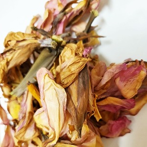 칸나꽃 50g (Canna Generalis Flower) 국산-청주