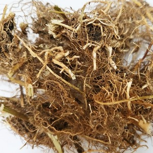 메밀뿌리 50g (Polygonum Fagopyrum (Buckwheat) Root) 국산-청주