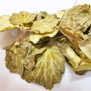 바위취잎 50g (Saxifraga Sarmentosa Leaf) 국산-청주