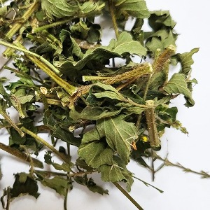 짚신나물(전초) 50g (Agrimonia Pilosa) 국산-청주