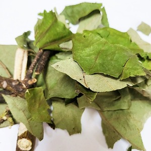 벽오동잎/가지 50g (Sterculia Platanifolia Leaf/Branch) 국산-청주