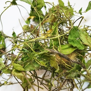 여우팥(전초) 50g (Dunbaria villosa (Thunb.) Makino) 국산-청주