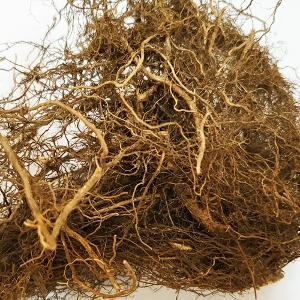 들깨뿌리 50g (Perilla Ocymoides Root) 국산-청주