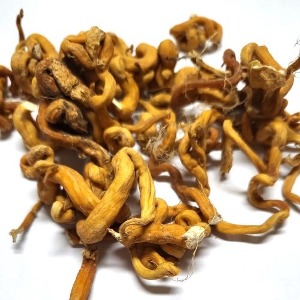 소엽맥문동 50g (Ophiopogon Japonicus Root) 국산-청주