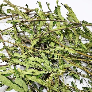 루키나 루코씨팔라 50g (Leucaena leucocephala) 국산-청주