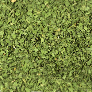 고수 잎 1kg (Coriandrum Sativum (Coriander) Leaf/실란트로) 미국