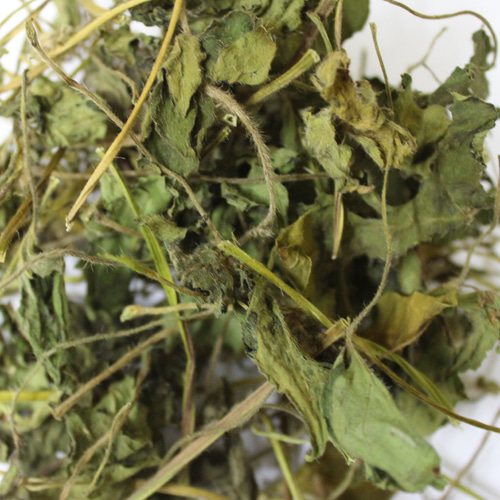 흰겨자싹 50g (Brassica Alba Sprout) 국산