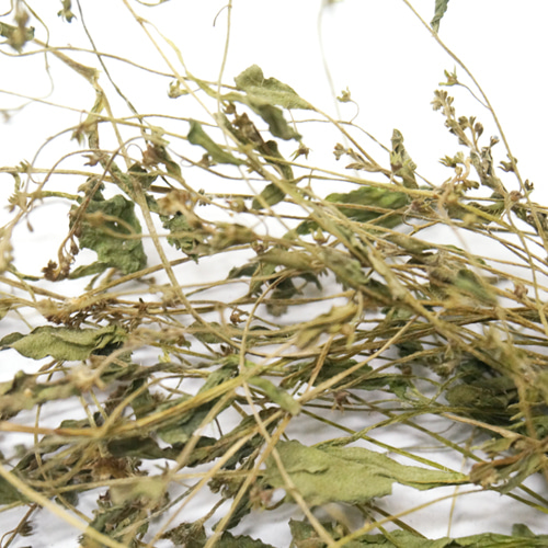 벼잎 100g (Oryza Sativa (Rice) Leaf) 국산/청주