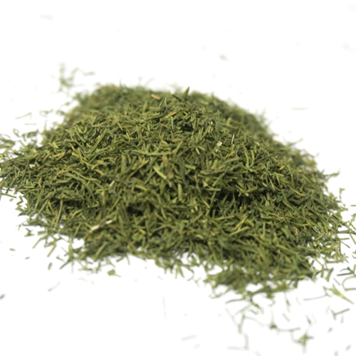 서양자초잎(딜) 1kg (Anethum Graveolens (Dill) Leaf) 미국