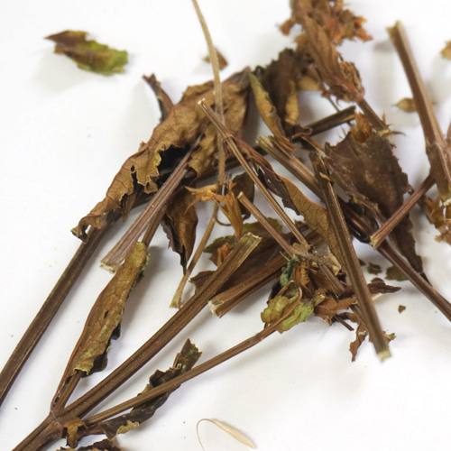 꿀풀꽃/잎/줄기 1kg (Prunella Vulgaris Flower/Leaf/Stem) 국산-청주